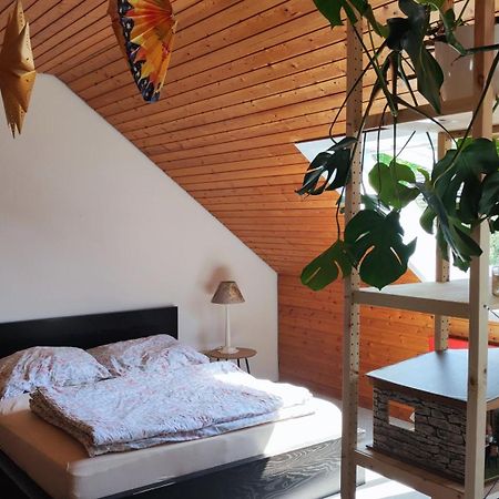 Big Cozy Entire Family Appartment Hannover Esterno foto