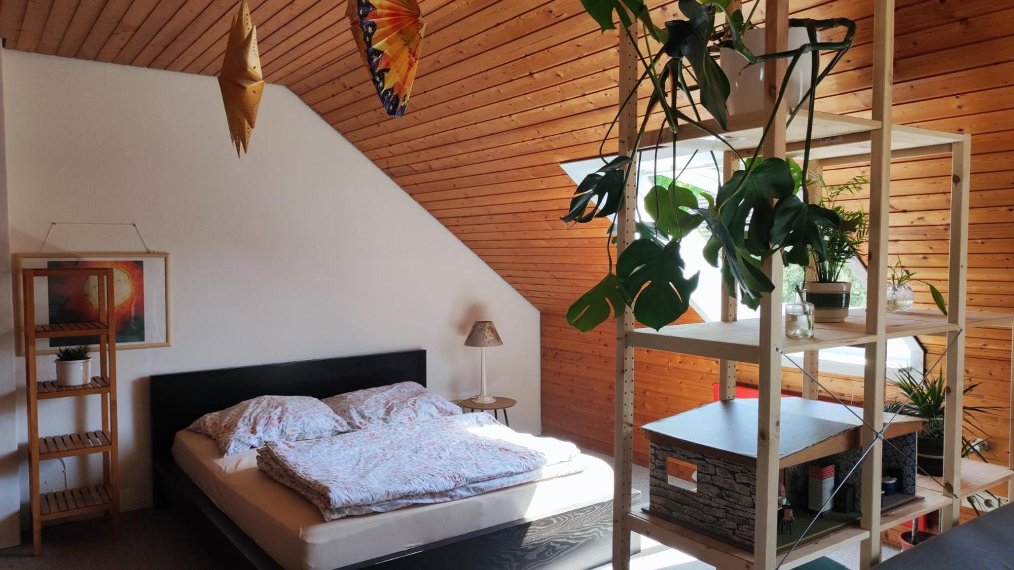Big Cozy Entire Family Appartment Hannover Esterno foto